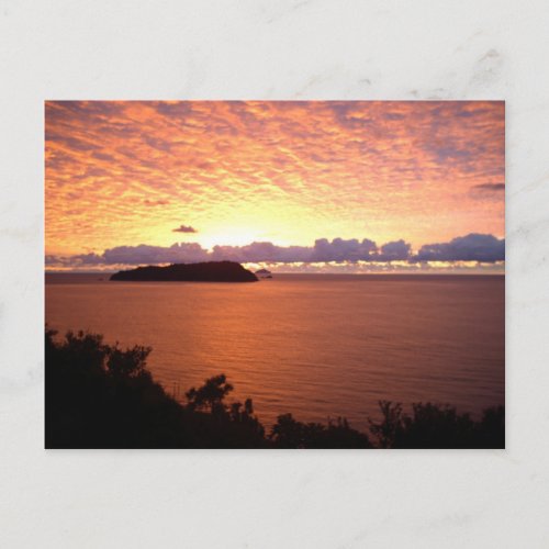 Mount Paku Sunrise Posters Postcard