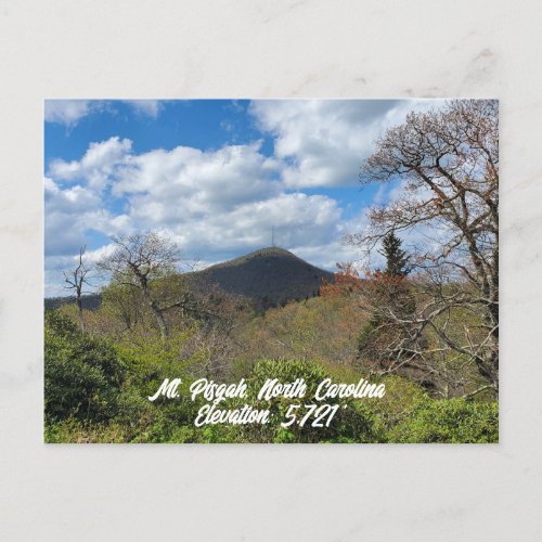 Mount Pisgah North Carolina Elevation Blue Ridge Postcard