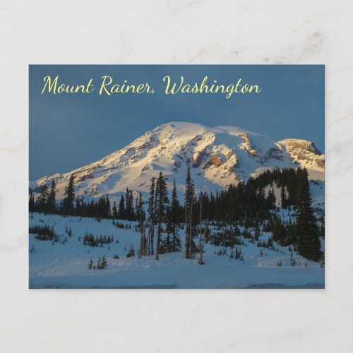 Mount Rainer evening light Postcard