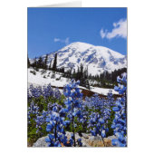 Mount Rainier at Paradise Point (Front)