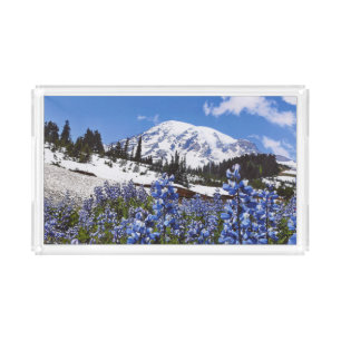 Mount Rainier at Paradise Point Acrylic Tray