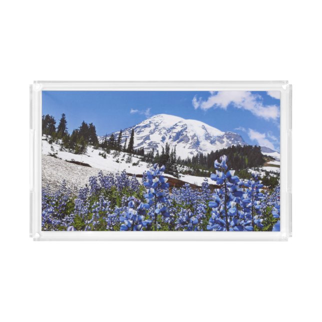 Mount Rainier at Paradise Point Acrylic Tray (Front)