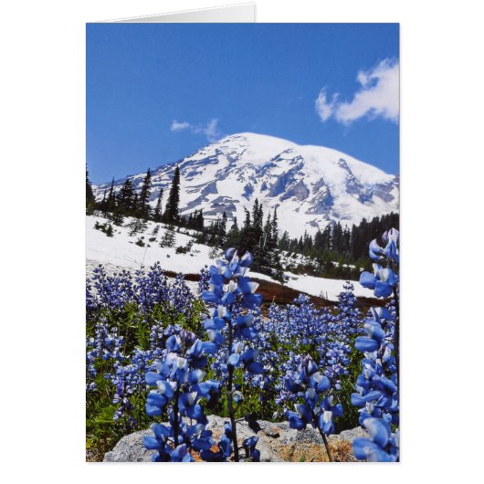 Mount Rainier at Paradise Point Cards (Front)