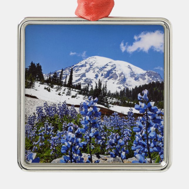 Mount Rainier at Paradise Point Metal Ornament (Front)
