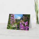 Mount Rainier Between Purple Phlox Flowers Card