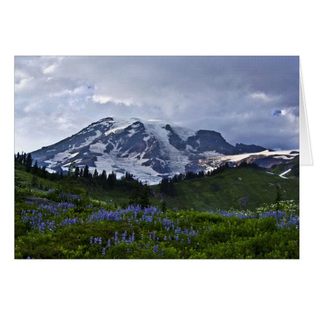 Mount Rainier Cards (Front Horizontal)