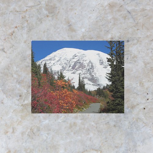 Mount Rainier Hiking Trail Fall Color Metal Print