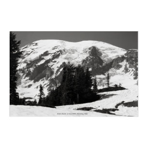Mount Rainier in June Acrylic Print