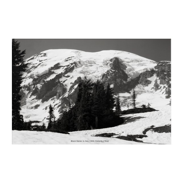 Mount Rainier in June Acrylic Print (Front)