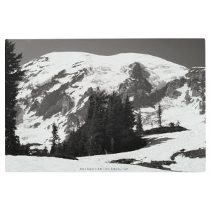 Mount Rainier in June Metal Print