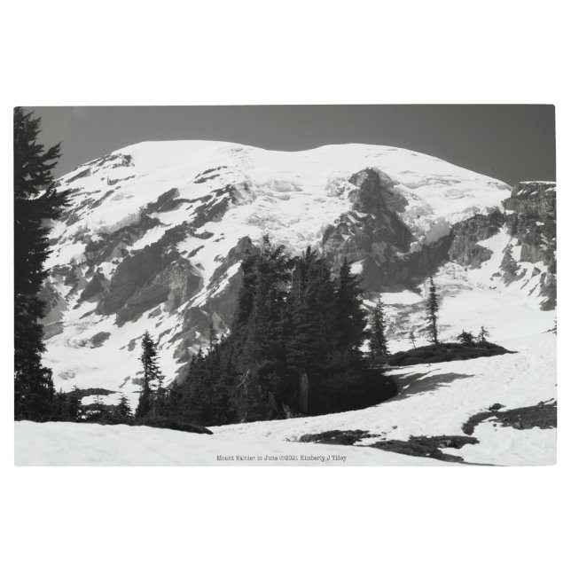 Mount Rainier in June Metal Print (Front)