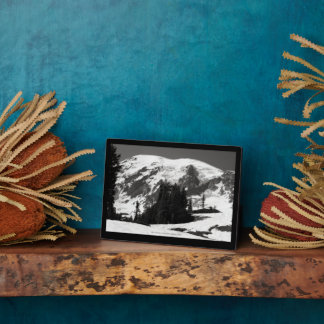 Mount Rainier in June Plaque