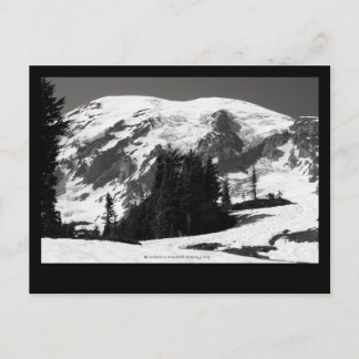 Mount Rainier in June Postcard