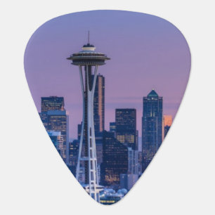 Mount Rainier in the background. Guitar Pick