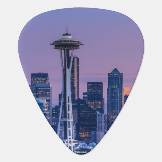 Mount Rainier in the background. Guitar Pick (Front)
