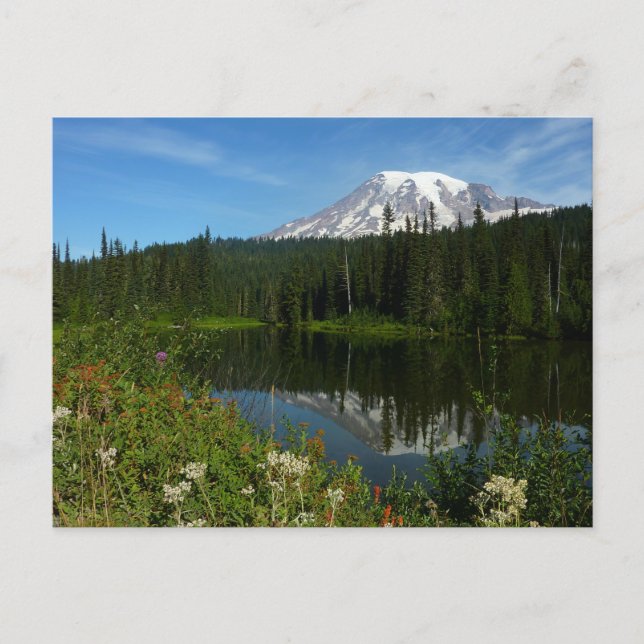 Mount Rainier Lake Reflection with Wildflowers Postcard (Front)