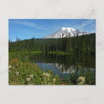 Mount Rainier Lake Reflection with Wildflowers Postcard