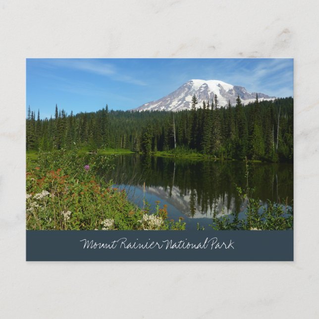 Mount Rainier Lake Reflection with Wildflowers Postcard (Front)