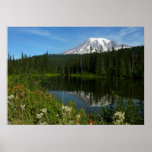Mount Rainier Lake Reflection with Wildflowers Poster