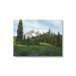 Mount Rainier Morning Light Canvas Print