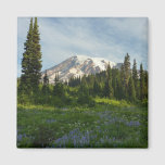 Mount Rainier Morning Light Magnet