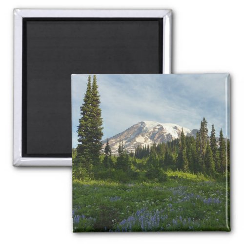 Mount Rainier Morning Light Magnet