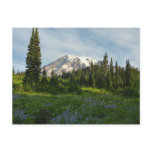 Mount Rainier Morning Light Postcard