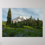Mount Rainier Morning Light Poster
