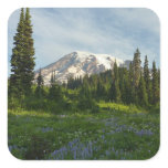 Mount Rainier Morning Light Square Sticker