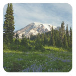 Mount Rainier Morning Light Square Sticker