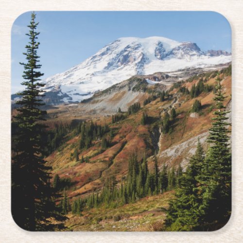 Mount Rainier National Park autumn Square Paper Coaster