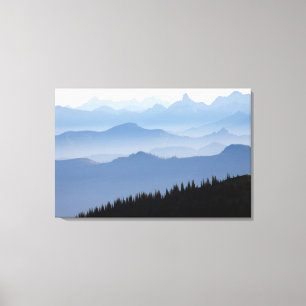 Mount Rainier National Park Cascade Mountains Canvas Print