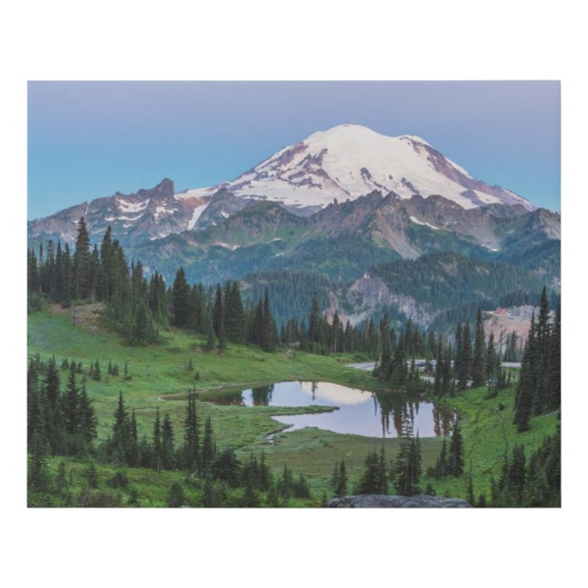 Mount Rainier National Park Faux Canvas Print (Front)