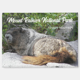 Mount Rainier National Park Hoary Marmot Magnet