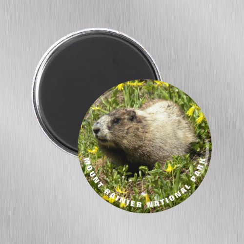 Mount Rainier National Park Marmot Magnet