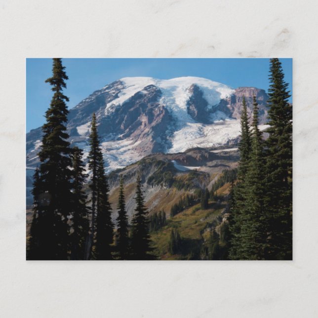 Mount Rainier National Park, Mount Rainier 2 Postcard (Front)