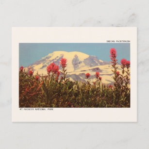 Mount Rainier National Park Postcard