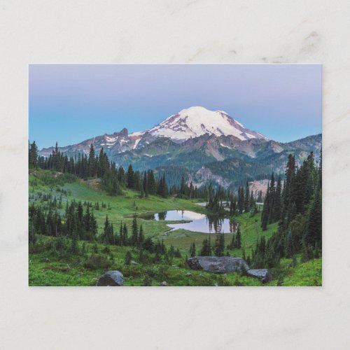 Mount Rainier National Park Postcard