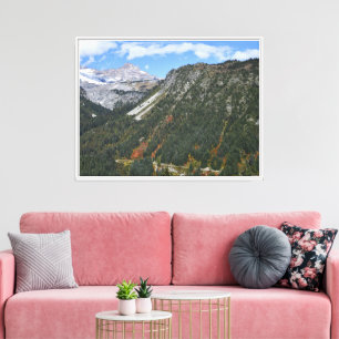 Mount Rainier National Park Scenic Canyon Canvas Print