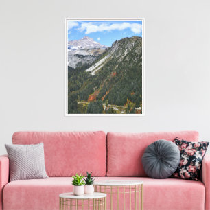 Mount Rainier National Park Scenic Canyon Canvas Print