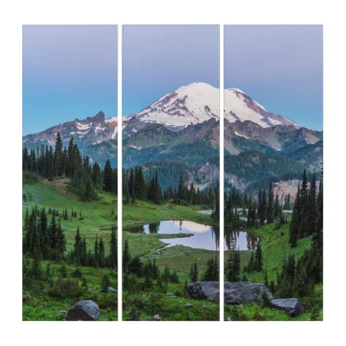 Mount Rainier National Park Triptych