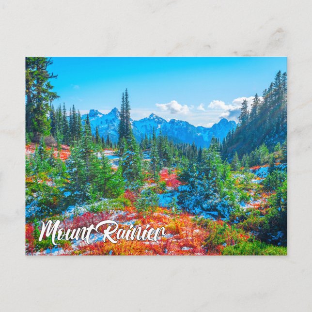 Mount Rainier National Park, Washington Postcard (Front)