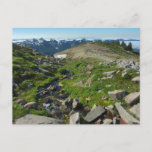 Mount Rainier Panorama Point Postcard