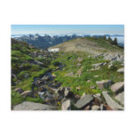 Mount Rainier Panorama Point Postcard