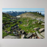 Mount Rainier Panorama Point Poster