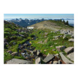 Mount Rainier Panorama Point Poster