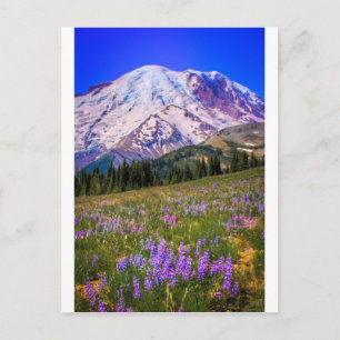 Mount Rainier Postcard