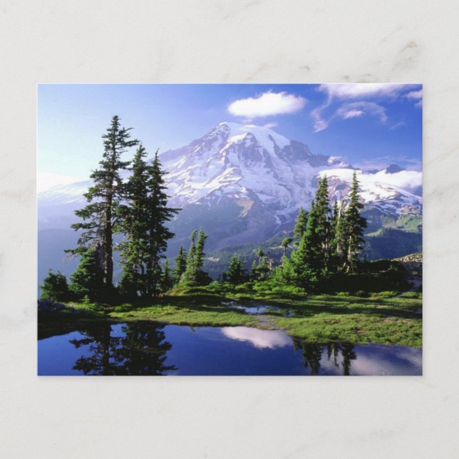 Mount Rainier Postcard (Front)