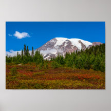 Mount Rainier Poster
