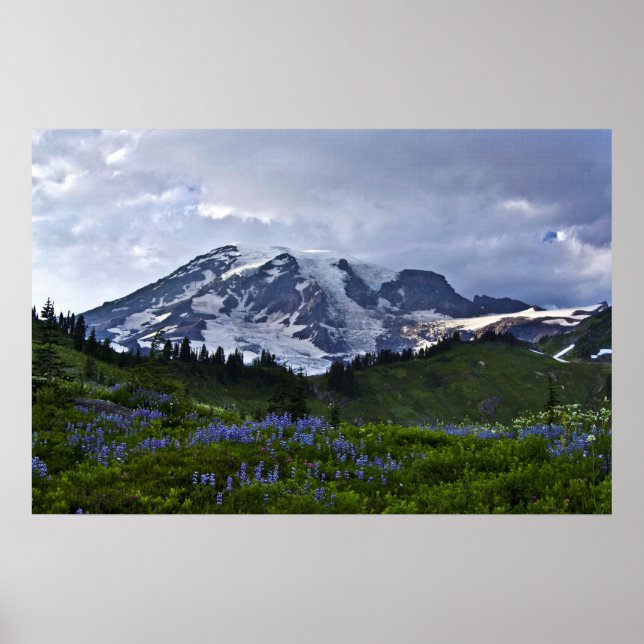 Mount Rainier Poster (Front)